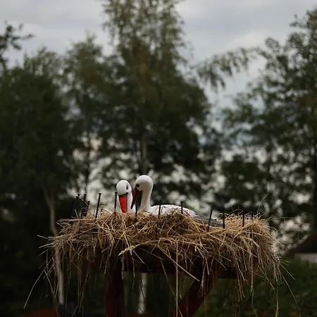 маєток сокільське 3*